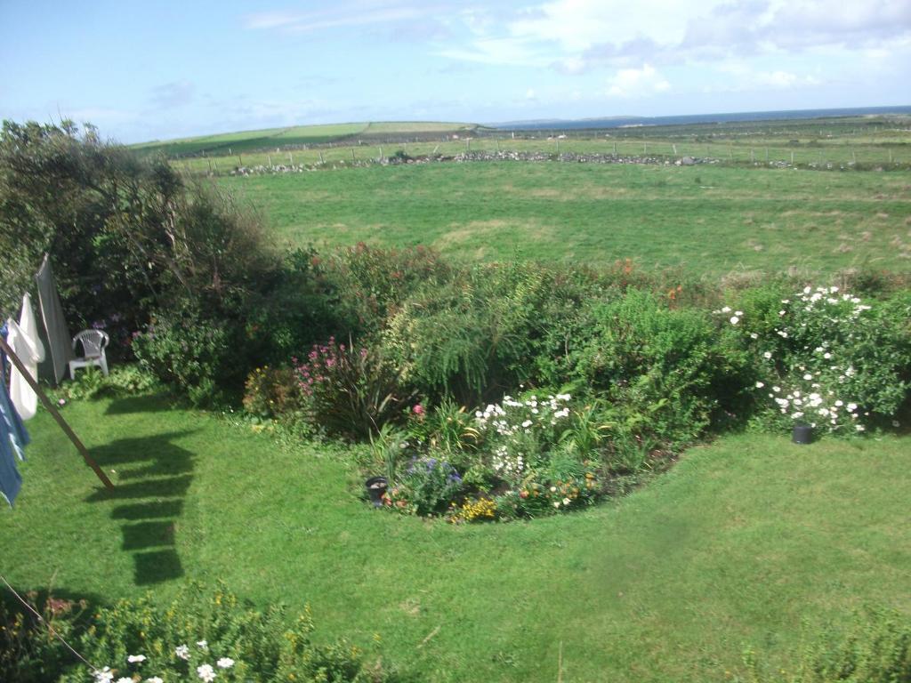 Fuchsia House Bed And Breakfast Connemara 렌빌 외부 사진