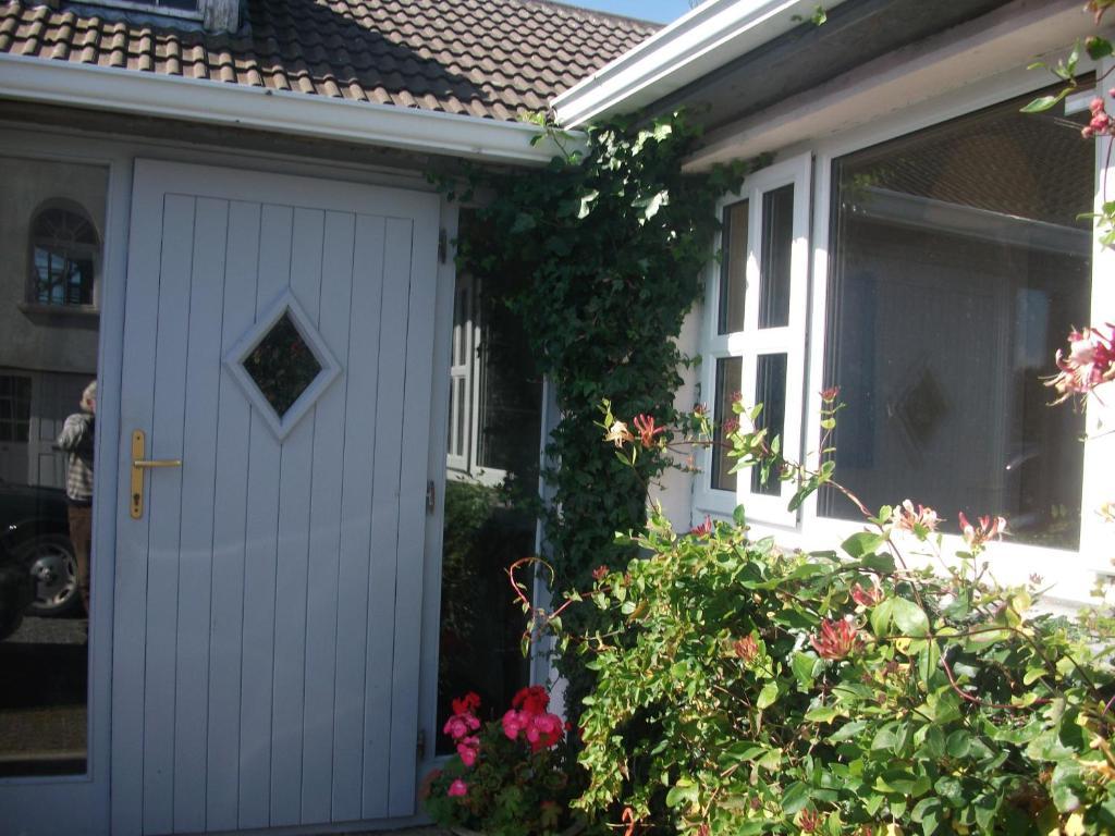 Fuchsia House Bed And Breakfast Connemara 렌빌 외부 사진