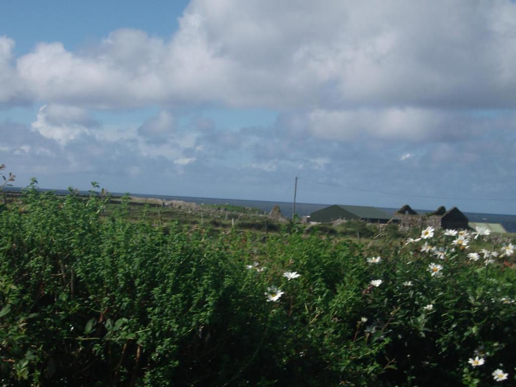 Fuchsia House Bed And Breakfast Connemara 렌빌 외부 사진