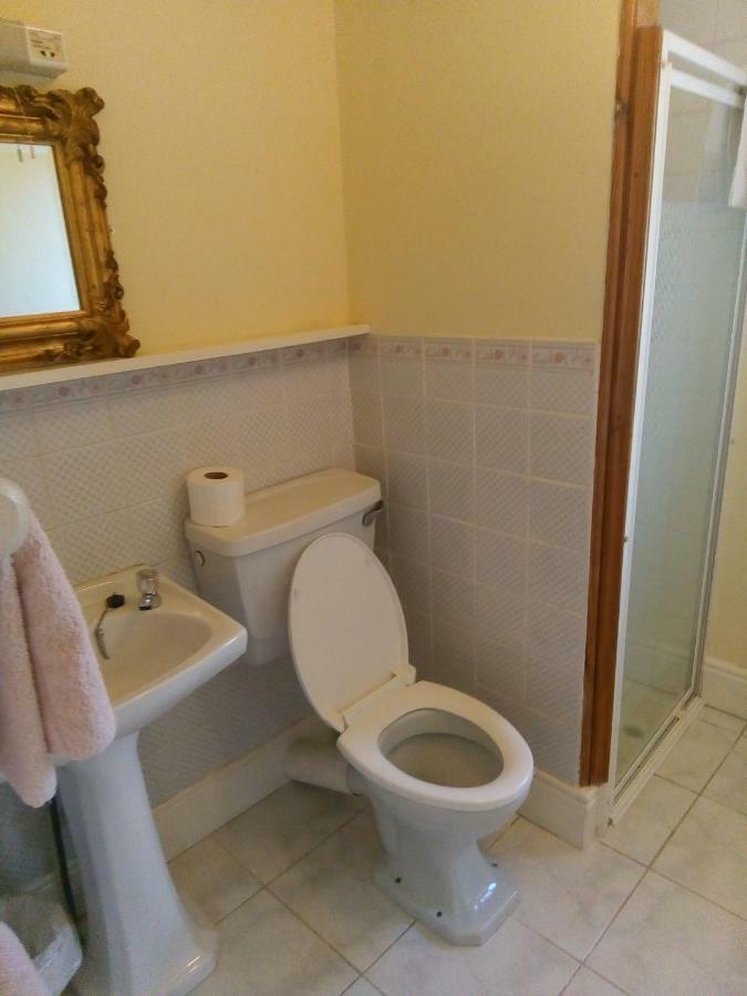 Fuchsia House Bed And Breakfast Connemara 렌빌 외부 사진